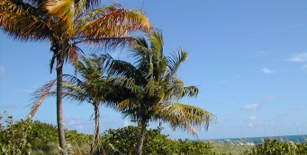 Cape Florida State Park