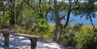 Gator Lake Trail