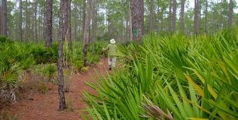 Buck Island Pond Trail