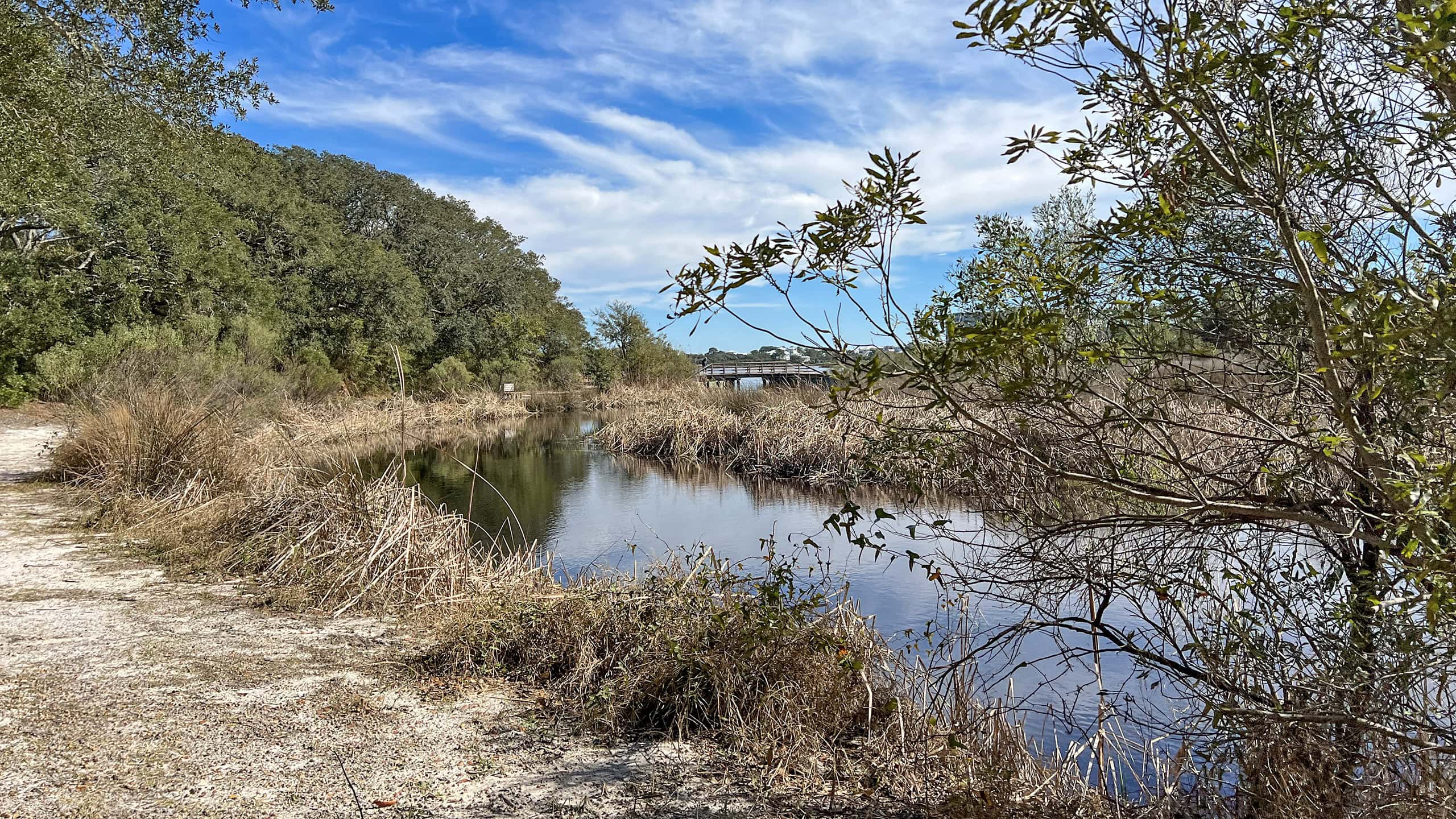 Pathway along open water marsh