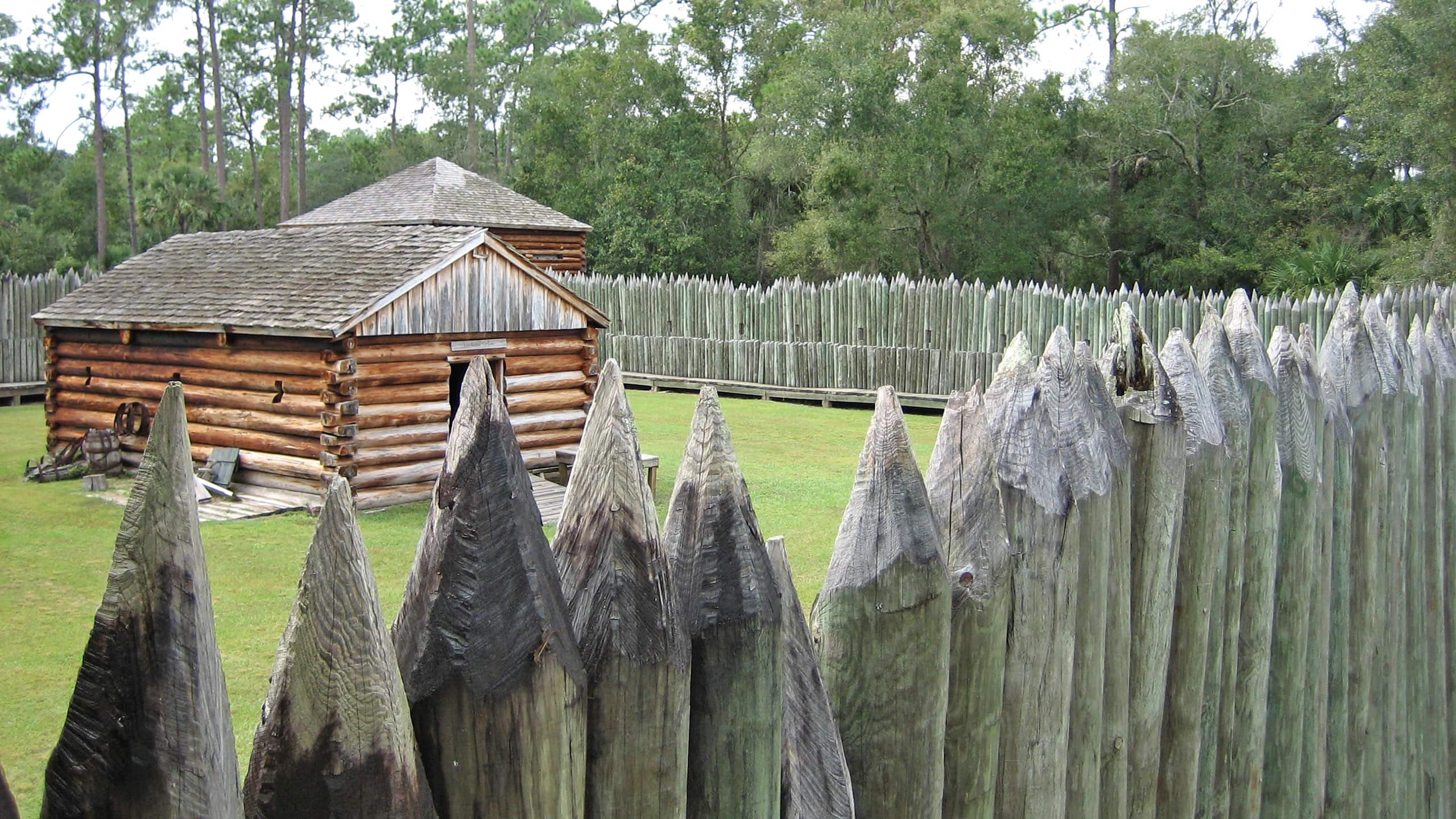 Peeking over the walls of a wooden fort