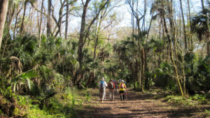 Hikers in the Oak Ridge Tract