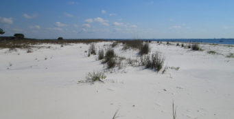 Sandy Point, St. Andrews State Park