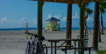 Crandon Park