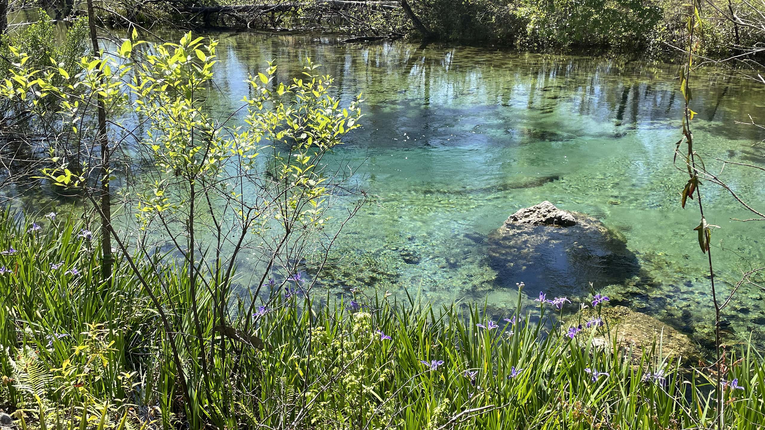 Spring basin with aquamarine water