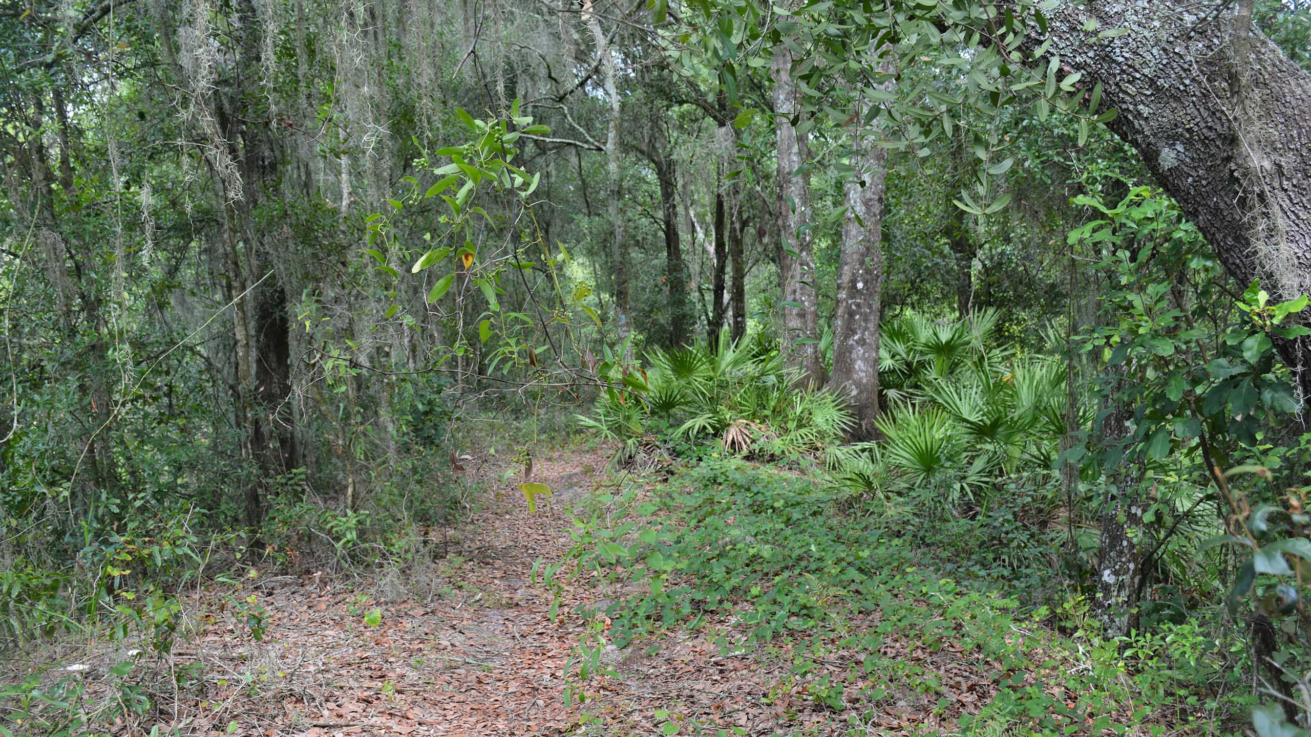 Upper-Hillsborough-Hiking-Trail