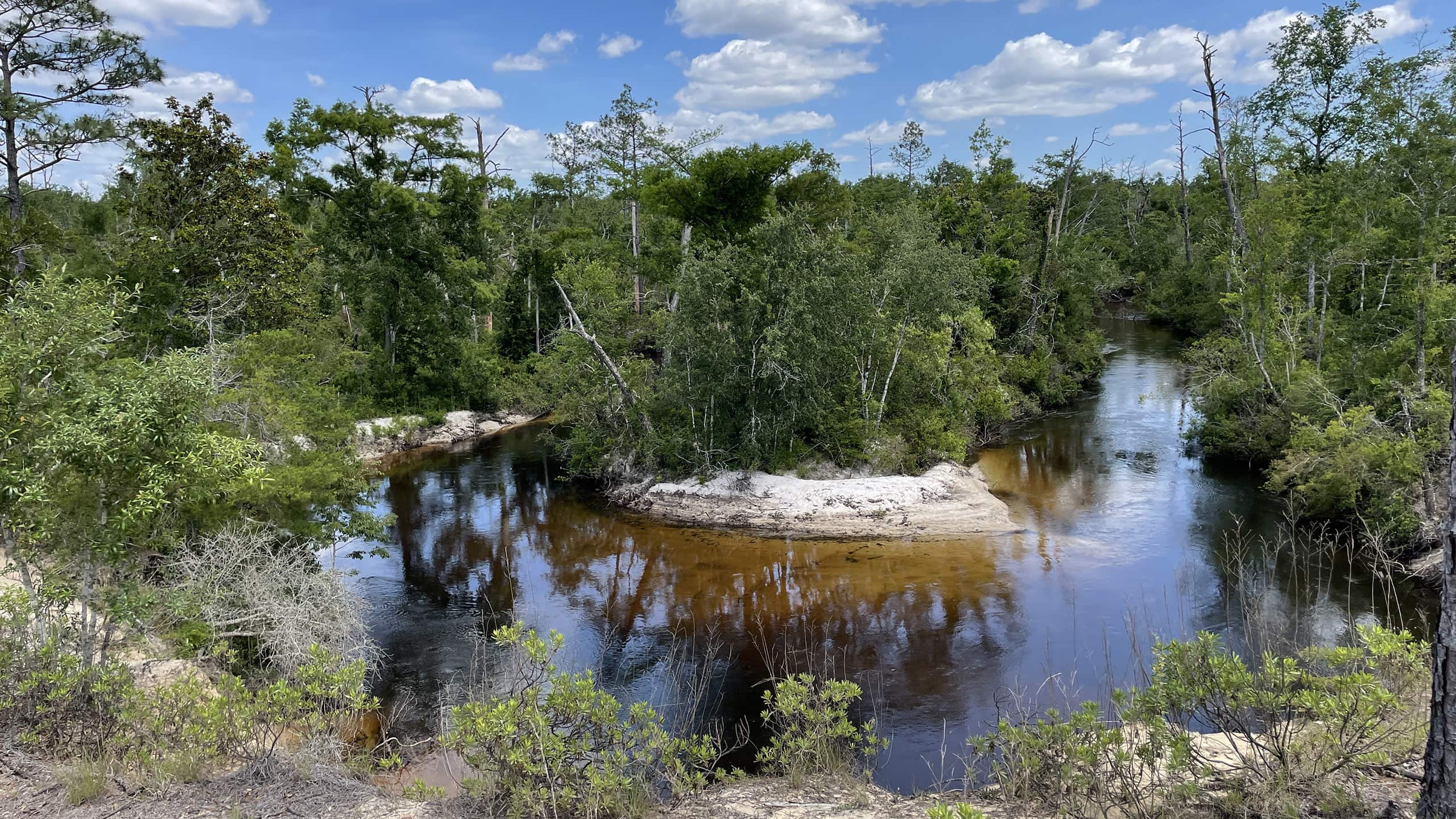 View from the Econfina Bluffs