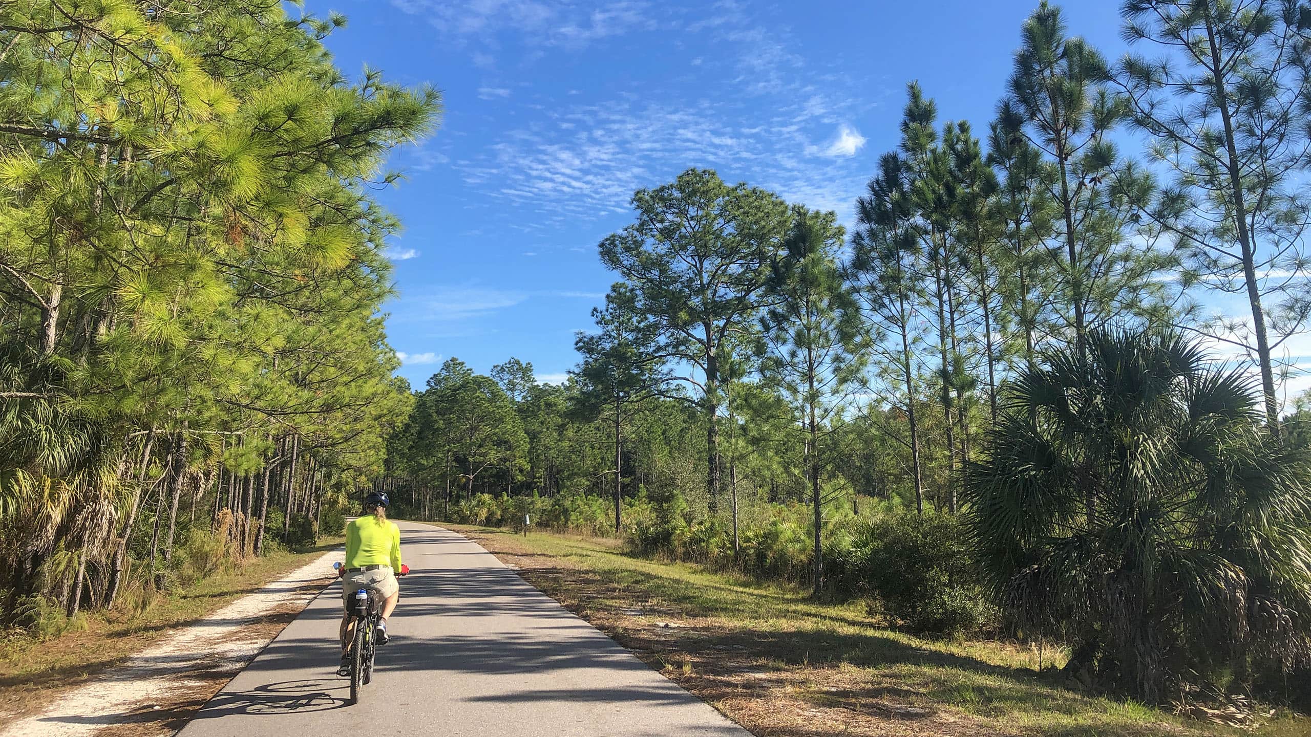 Cyclist on paved Flatwoods Loop