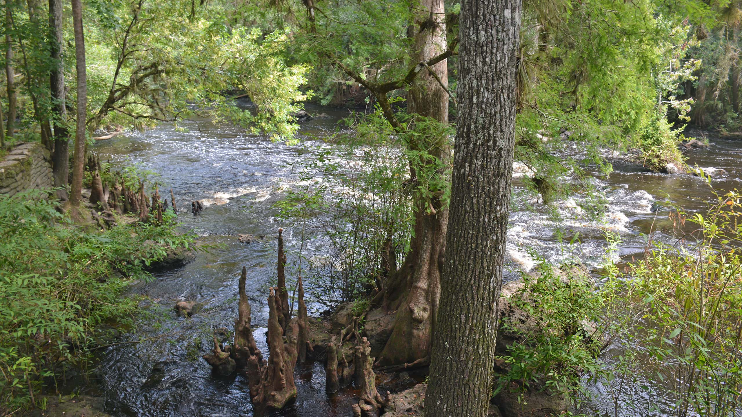 View of rapids from above