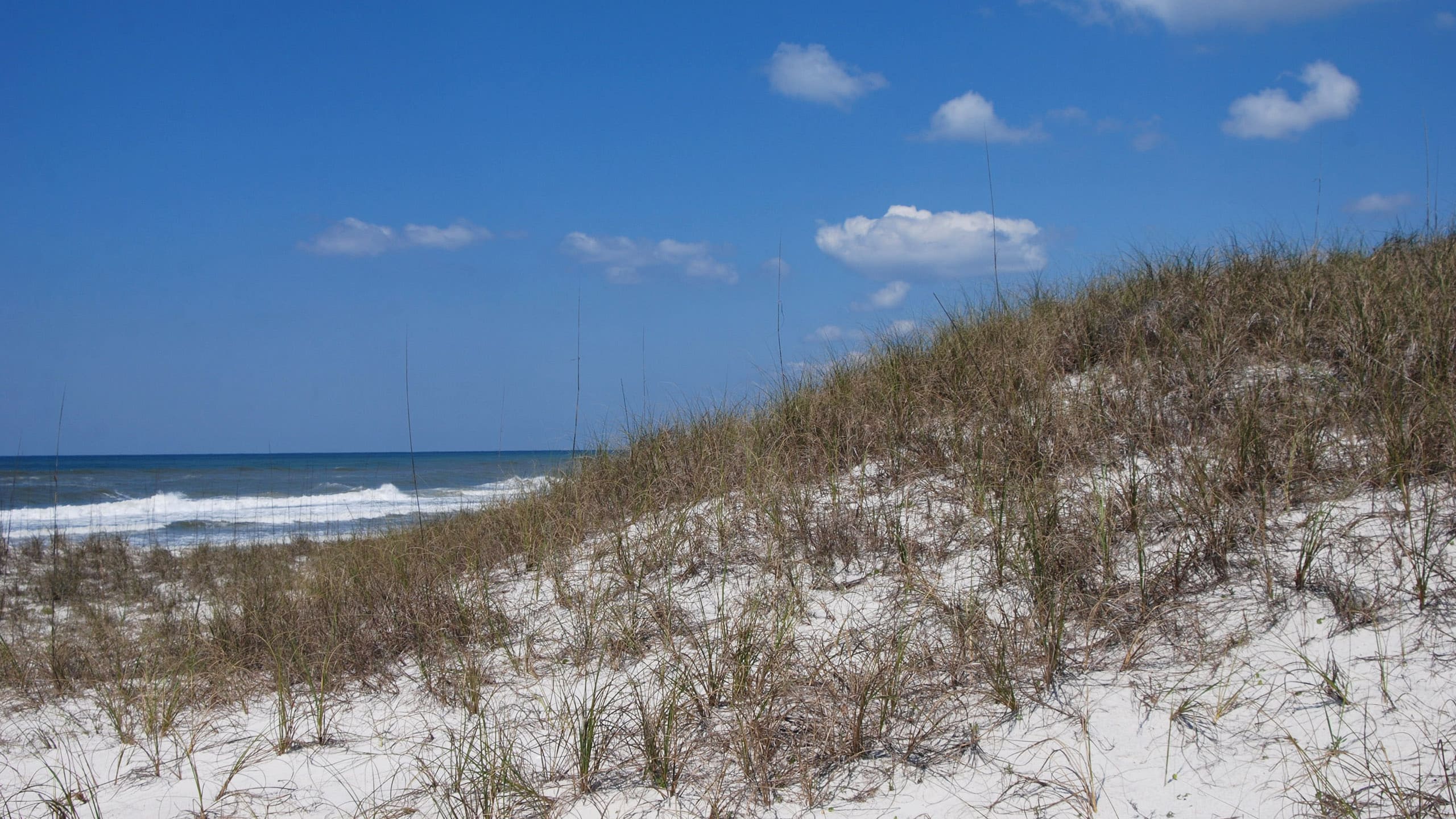 Grassy dune with waves breaking beyond