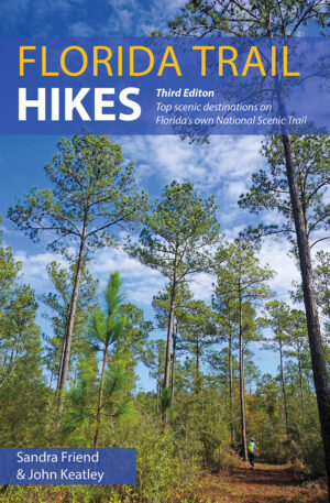 Book cover of forest with diminutive hiker among tall trees