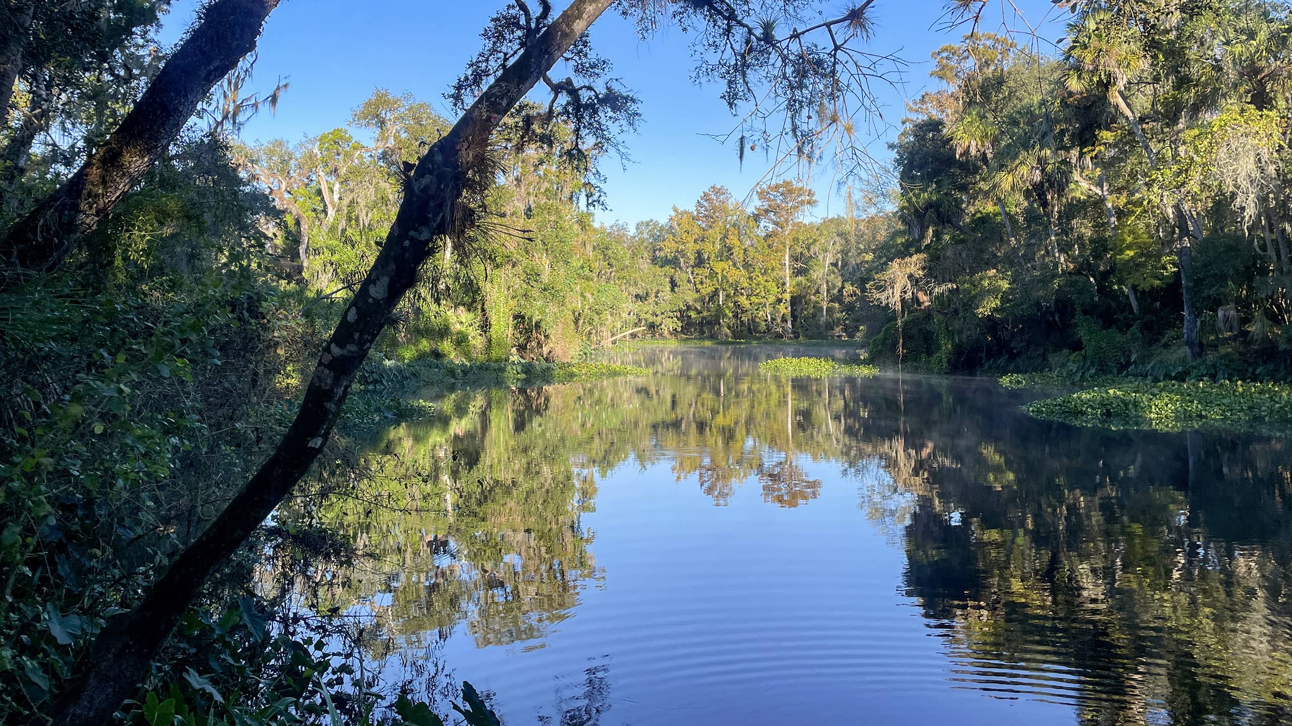 River with tree reflections on blue water