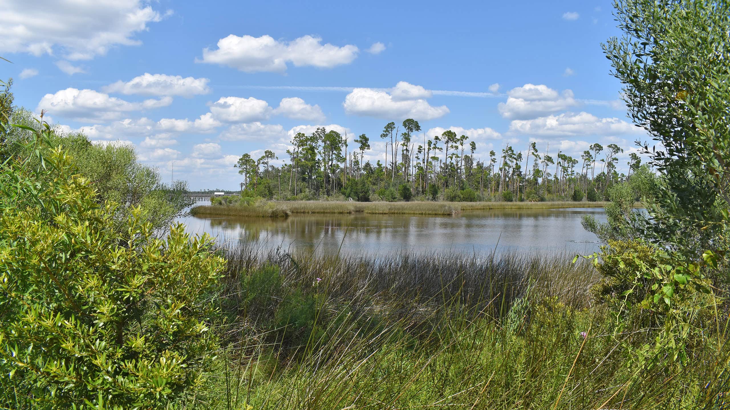 View of bayou outlet to bay