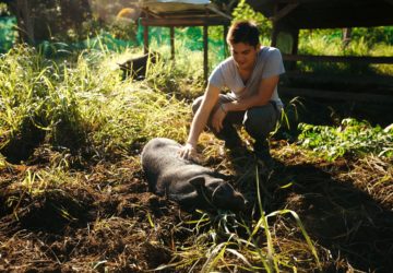 The advantages of the youth getting into farming is the opportunity to inject new ideas into agriculture