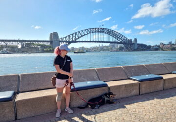 Australian kelpie dog Rasy and Mad Dogs and Englishmen dog handler Carla Shoobert take a break after patroling for seagulls at Sydney’s Opera Bar