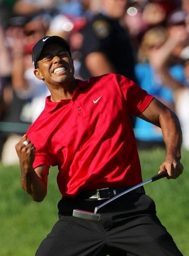 Real-time video of Tiger Woods generated by Pendular