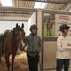 Des jeunes habitant les quartiers populaires de Villeneuve d'Ascq s'essayent à l'équitation grâce au Centre d'Accueil et de Loisirs (C.A.L) de Pont-de-Bois.