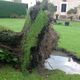 Un arbre déraciné à Etuz (Haute-Saône), symbole de la violence des intempéries.