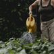 En plein été, il vaut mieux éviter d'arroser son jardin en pleine journée.