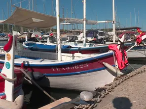 Le projet de mise en place de bouées payantes sur l'île de Porquerolles fait face à la levée de bouclier des plaisanciers.