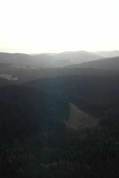 Les crêtes du Forez sont un bel endroit à découvrir : un équilibre entre la nature et les actions de l’homme.