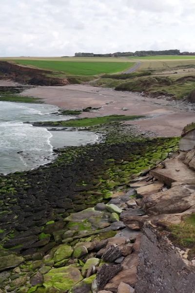 Le sentier des pêcheurs à Audresselles