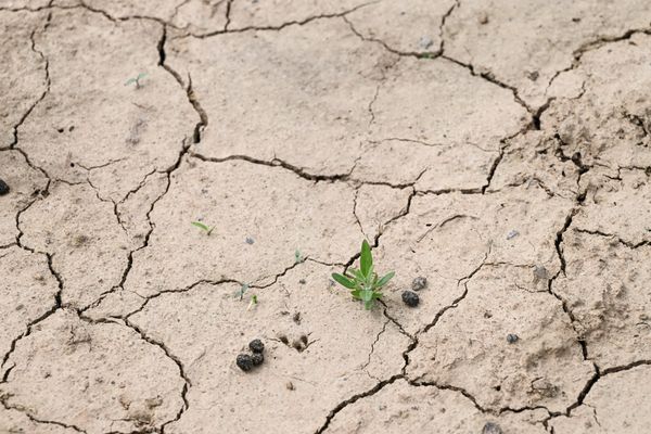 L'arc est passé en alerte renforcée dans les Bouches-du-Rhône.