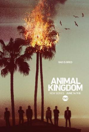 Animal Kingdom Poster