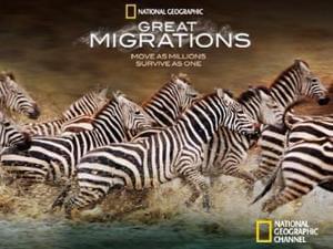 Great Migrations Poster