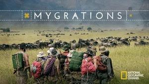 Mygrations Poster