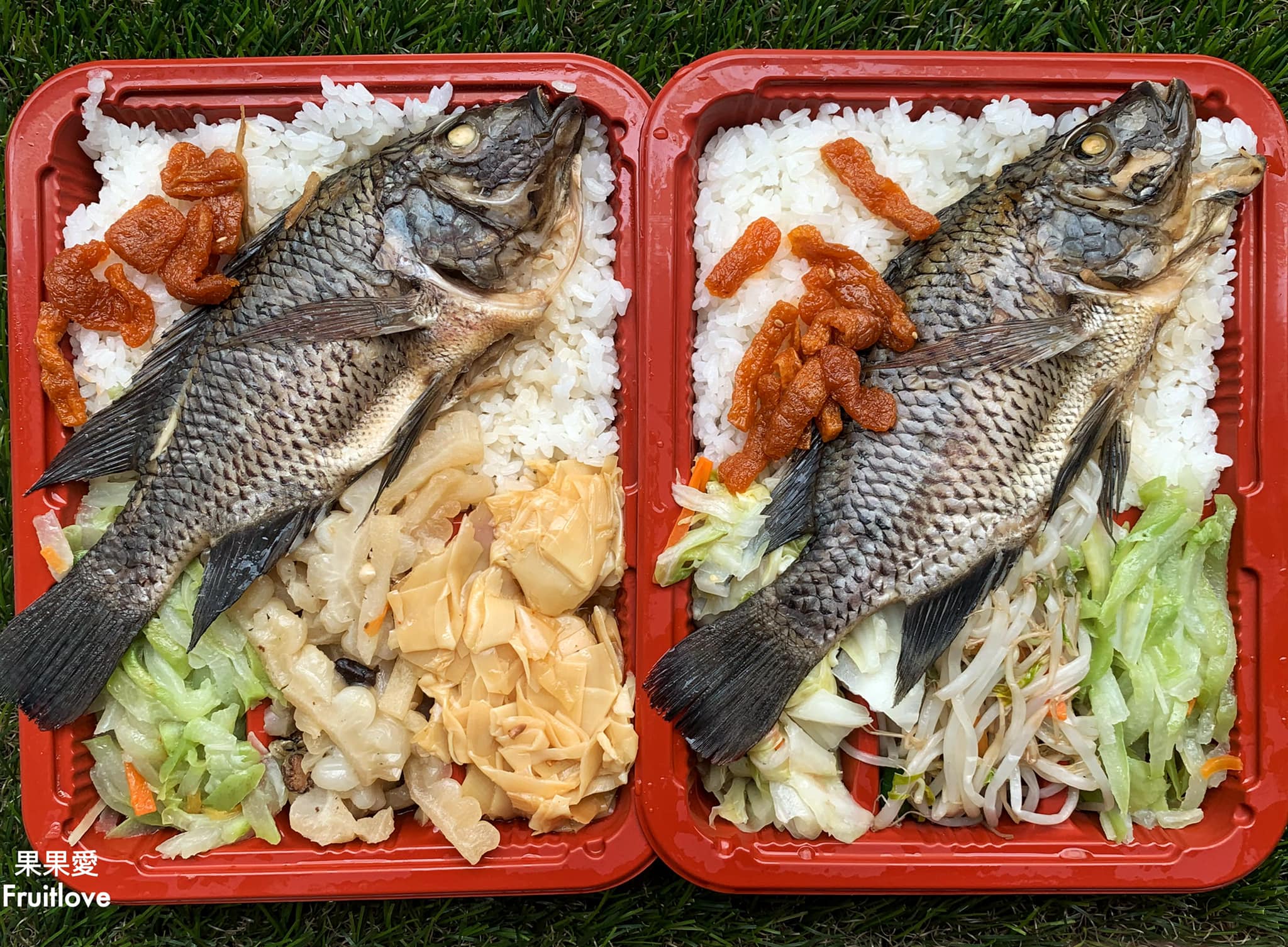 伊達邵親水步道⟩南投魚池景點，漫步在日月潭親水步道，輕鬆享受日月潭的優閒恬靜，道路平坦，沿途還可以聞到陣陣的桂花香與觀賞美麗的櫻花/寵物友善　不限大小最少需要牽繩　　銀髮友善 @果果愛Fruitlove