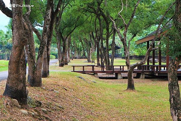 南投景點-親情公園樹下乘涼、野餐、玩耍，增進親子感情的好地方 @果果愛Fruitlove