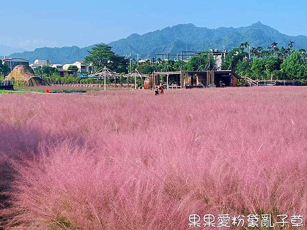 和平快樂田園⟩南投集集景點，全台唯一粉紅花海-粉黛亂子草，正式開放就無需預約即可入園/寵物友善景點 @果果愛Fruitlove