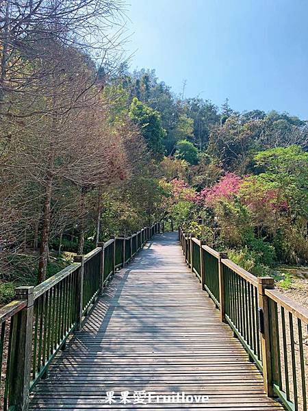 伊達邵親水步道⟩南投魚池景點，漫步在日月潭親水步道，輕鬆享受日月潭的優閒恬靜，道路平坦，沿途還可以聞到陣陣的桂花香與觀賞美麗的櫻花/寵物友善　不限大小最少需要牽繩　　銀髮友善 @果果愛Fruitlove