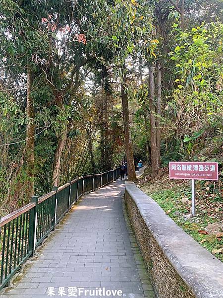 伊達邵親水步道⟩南投魚池景點，漫步在日月潭親水步道，輕鬆享受日月潭的優閒恬靜，道路平坦，沿途還可以聞到陣陣的桂花香與觀賞美麗的櫻花/寵物友善　不限大小最少需要牽繩　　銀髮友善 @果果愛Fruitlove