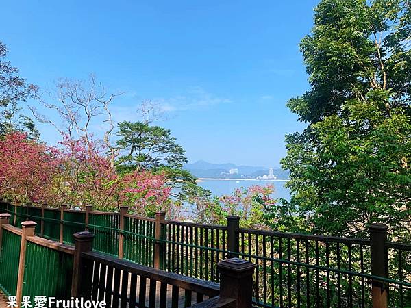 南投景點-親情公園樹下乘涼、野餐、玩耍，增進親子感情的好地方 @果果愛Fruitlove