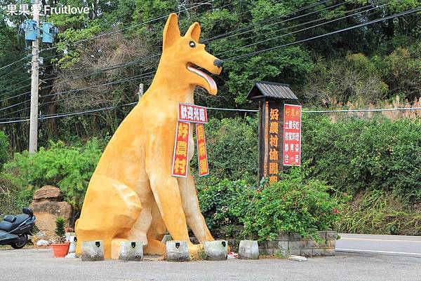 好農村客家美食廣場⟩薑絲大腸酸得夠味，鮮甜的白斬土雞桔醬，還有許多客家料理，寵物友善餐廳-苗栗大湖客家美食 @果果愛Fruitlove