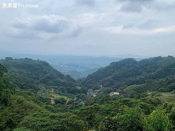 好農村客家美食廣場⟩薑絲大腸酸得夠味，鮮甜的白斬土雞桔醬，還有許多客家料理，寵物友善餐廳-苗栗大湖客家美食 @果果愛Fruitlove