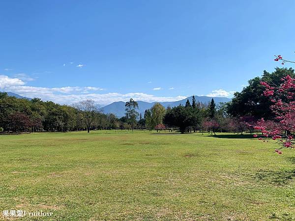 南投賞櫻景點  &#8211;  國立暨南國際大學，乘坐在櫻花樹下野餐，吹著微風，望向寬闊延伸的草地與山景，讓人可以好好放鬆的美麗景點 @果果愛Fruitlove