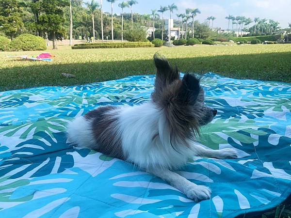 南投景點-親情公園樹下乘涼、野餐、玩耍，增進親子感情的好地方 @果果愛Fruitlove