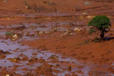 Začal soud kvůli brazilské ekologické katastrofě. Firmu žaluje přes 600 tisíc lidí