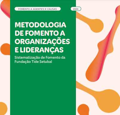 Metodologia de Fomento a Organizações e Lideranças