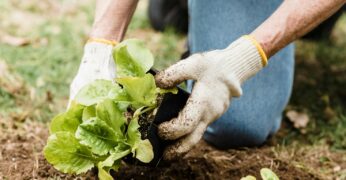 Nova chamada pública do Fundo Aipê foca em projetos com soluções ambientais para centros urbanos