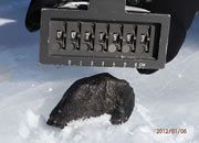 hunting meteorites in Antarctica