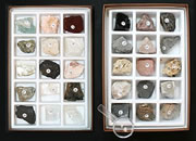 Rock and Mineral Kits