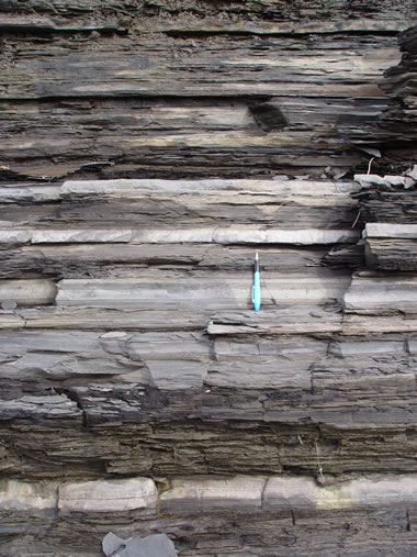 photograph of the Utica Shale in outcrop