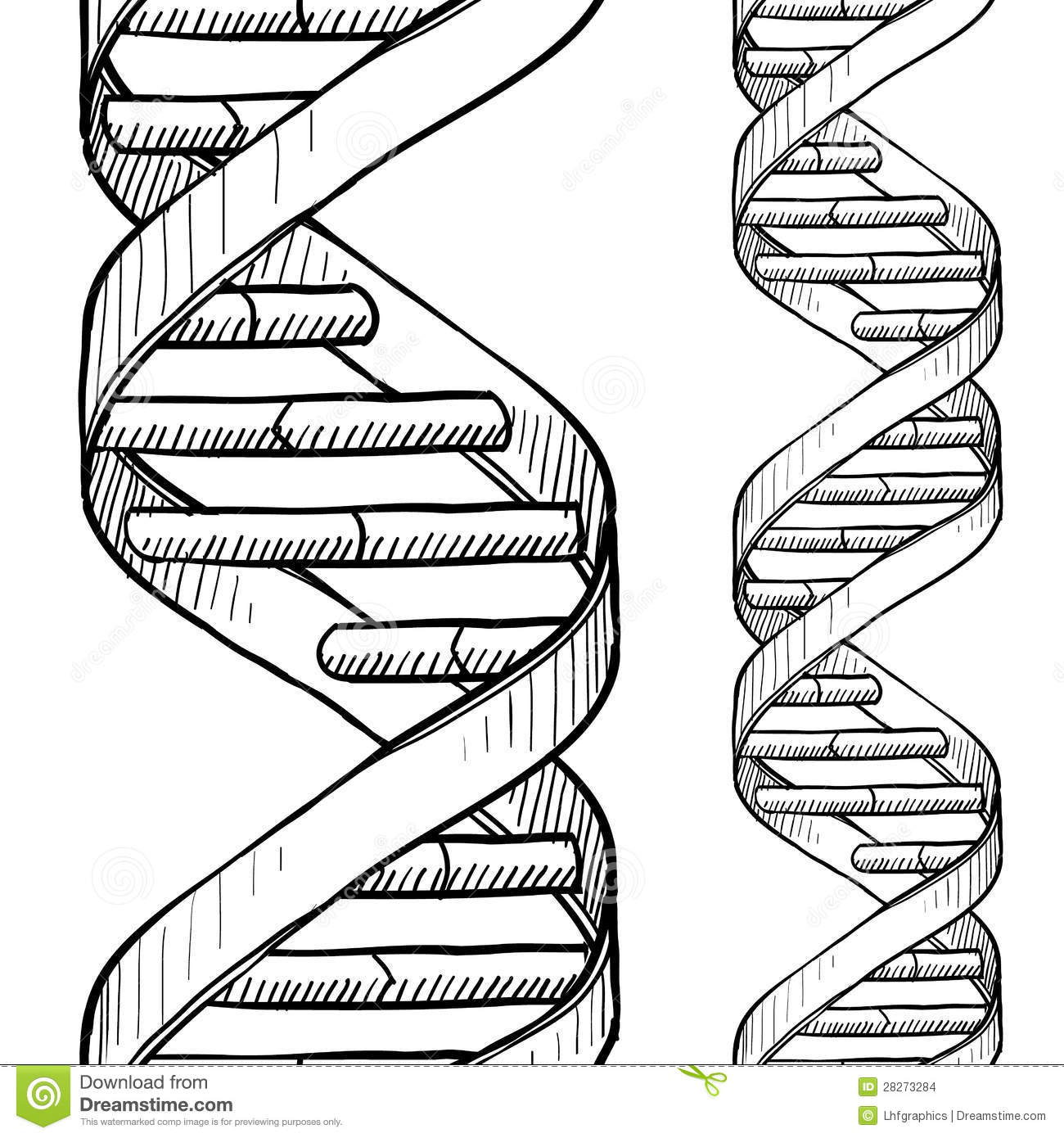 Coloring Dna Pages Worksheet Genetics Molecule Colouring Biology ...