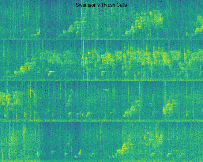 Alternative illustration of spectrogram output from birdnet_spectro for Swainson's Thrush, showing the of use different color schemes and plotting parameters.