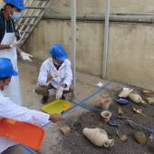 Iraqi cultural heritage professionals practice salvage techniques. 