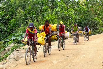 Traders in Madagascar. one of the most under-developed countries in Africa, transport charcoal to market.